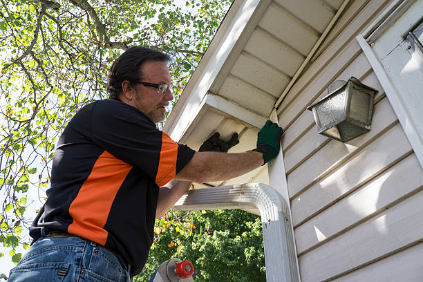 Best Hoarding Cleanup  in Zephyrhills, FL